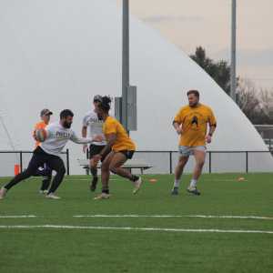 Image IMG_5223