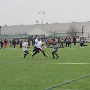 Image IMG_5374