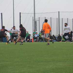 Image IMG_5446